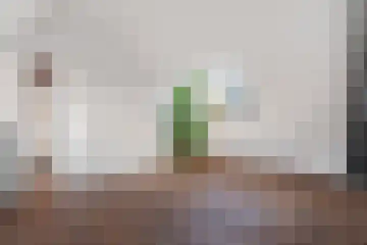 Hof ter Weydeweg 3 Vleuten thumbnail 25