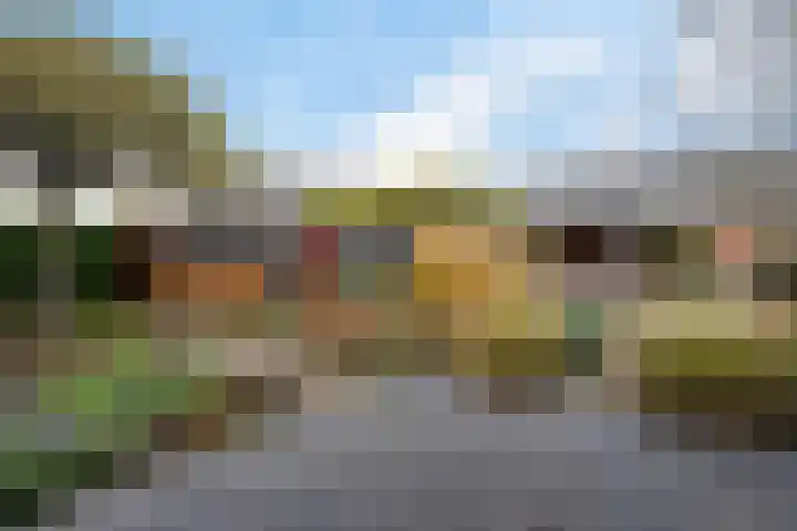 Hof ter Weydeweg 3 Vleuten thumbnail 29