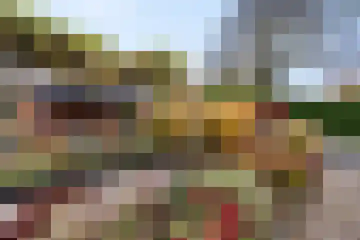 Hof ter Weydeweg 3 Vleuten thumbnail 30