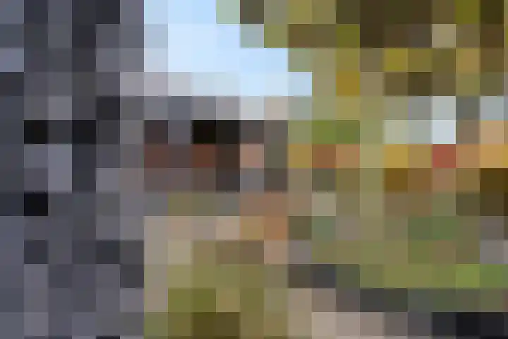 Hof ter Weydeweg 3 Vleuten thumbnail 33