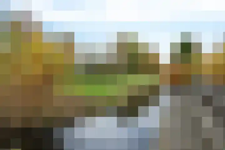 Hof ter Weydeweg 3 Vleuten thumbnail 35