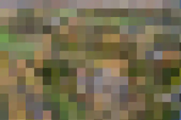Hof ter Weydeweg 3 Vleuten thumbnail 37
