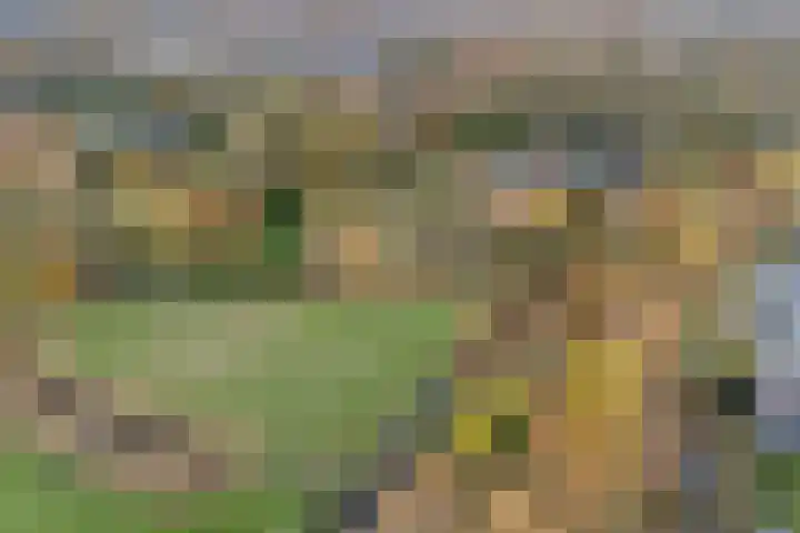 Hof ter Weydeweg 3 Vleuten thumbnail 38
