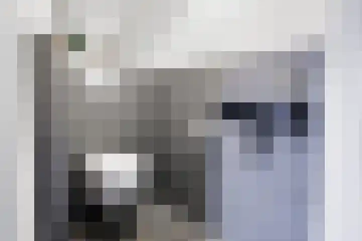 Hof van Antwerpen 1 Doetinchem thumbnail 19