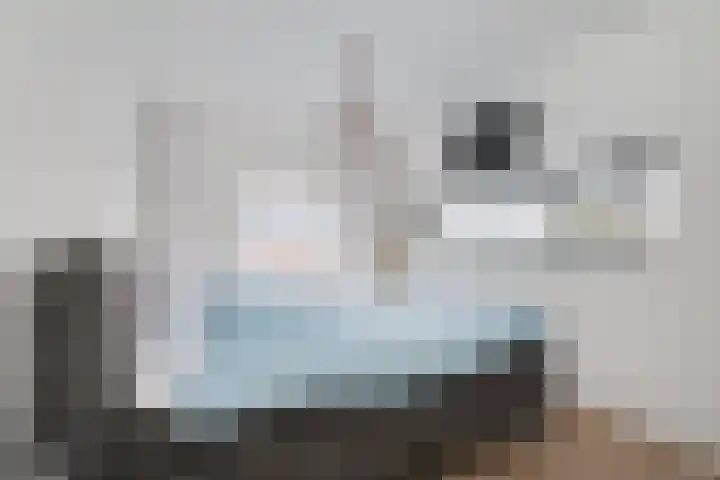 Hof van Antwerpen 1 Doetinchem thumbnail 22