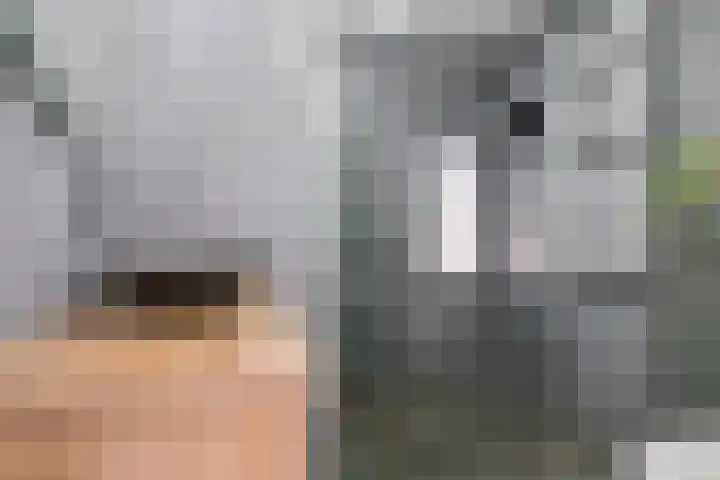 Hof van Antwerpen 1 Doetinchem thumbnail 29