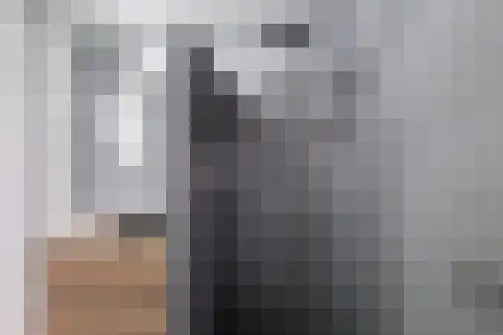 Hof van Antwerpen 1 Doetinchem thumbnail 4