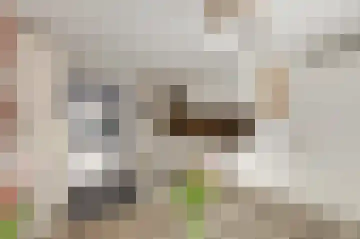 Hof van Antwerpen 10 Doetinchem thumbnail 11