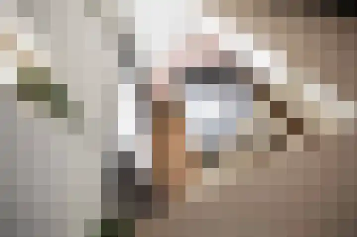 Hof van Antwerpen 10 Doetinchem thumbnail 34
