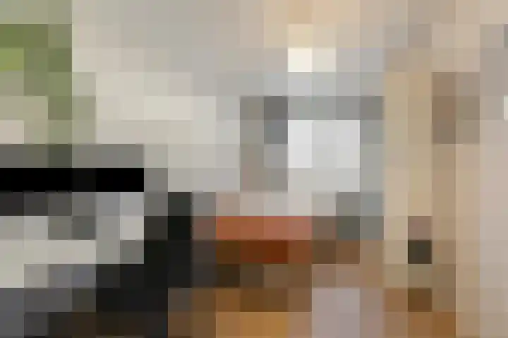 Hof van Antwerpen 10 Doetinchem thumbnail 37