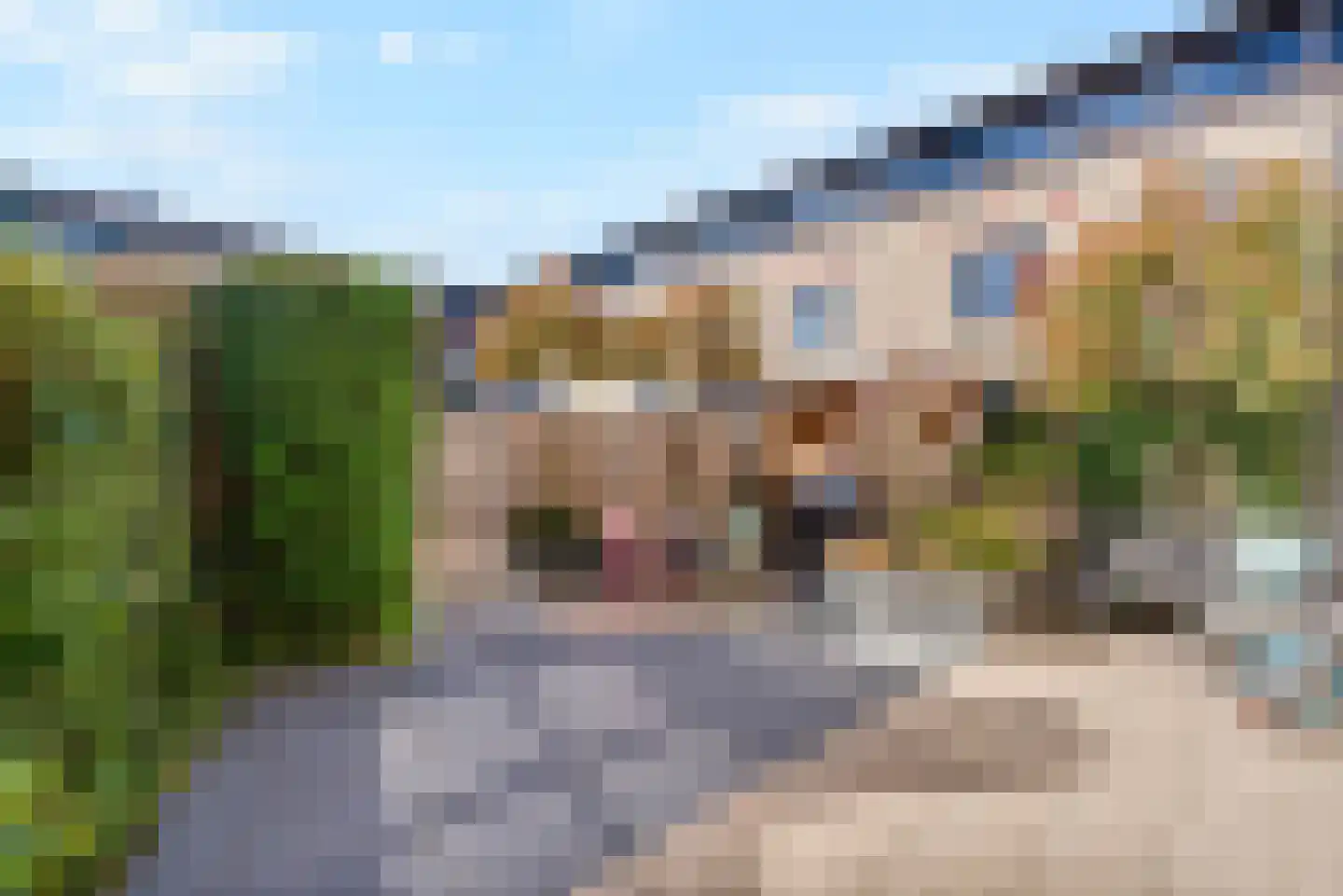 Hof van Aquamarijn 4 Delft thumbnail 5