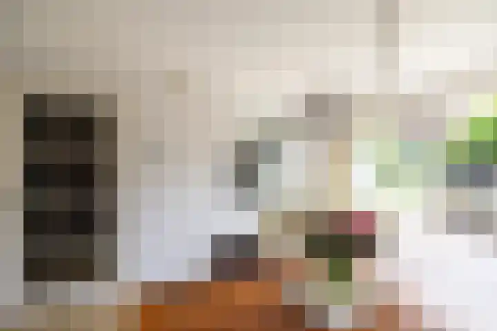 Hof van Avignon 7 Doetinchem thumbnail 10