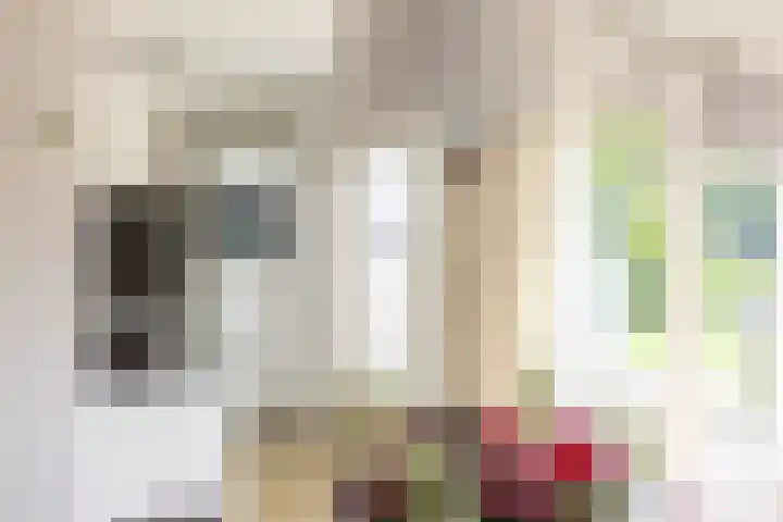 Hof van Avignon 7 Doetinchem thumbnail 12