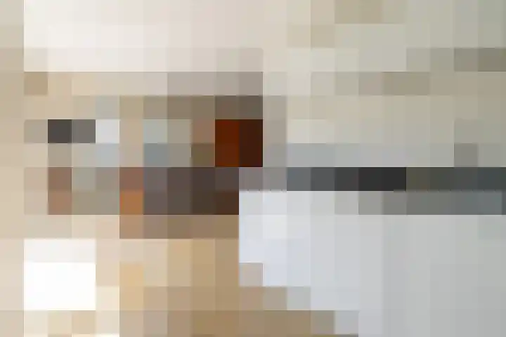 Hof van Avignon 7 Doetinchem thumbnail 17