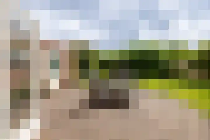 Hof van Avignon 7 Doetinchem thumbnail 19