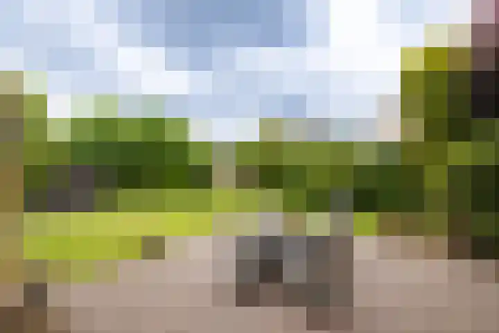 Hof van Avignon 7 Doetinchem thumbnail 20