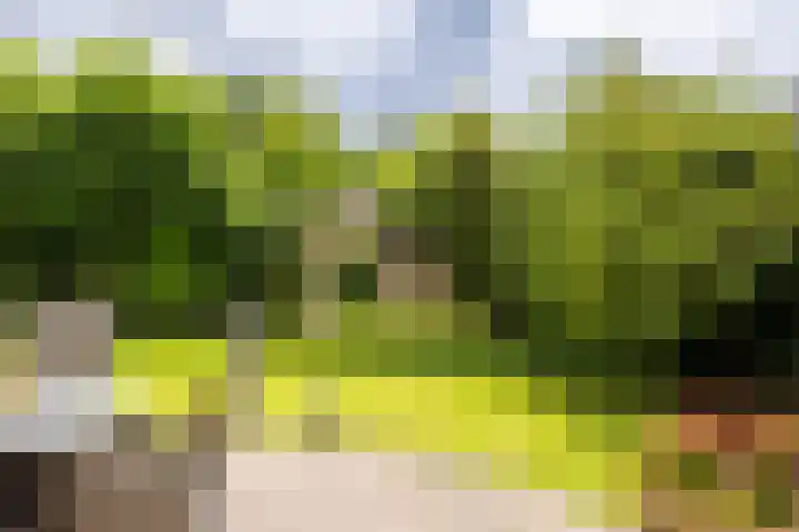 Hof van Avignon 7 Doetinchem thumbnail 21