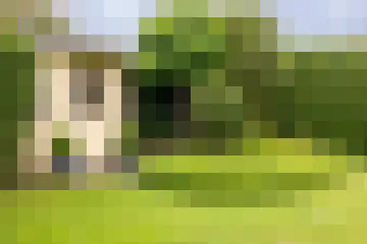 Hof van Avignon 7 Doetinchem thumbnail 22