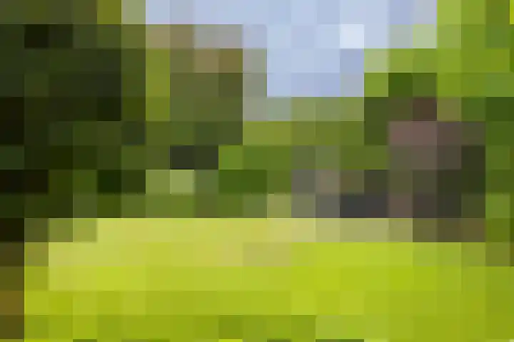 Hof van Avignon 7 Doetinchem thumbnail 23
