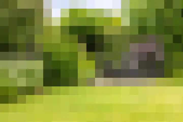 Hof van Avignon 7 Doetinchem thumbnail 24