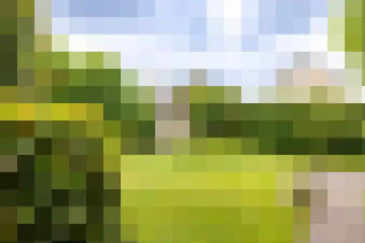 Hof van Avignon 7 Doetinchem thumbnail 25