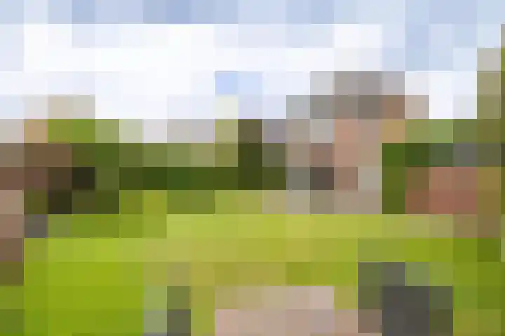 Hof van Avignon 7 Doetinchem thumbnail 26