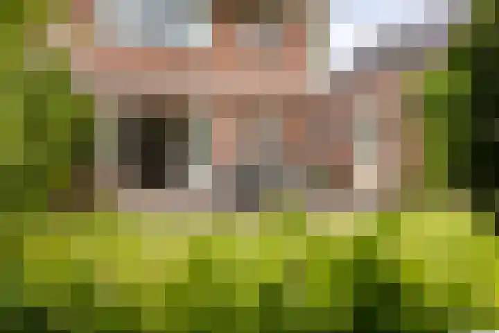 Hof van Avignon 7 Doetinchem thumbnail 28