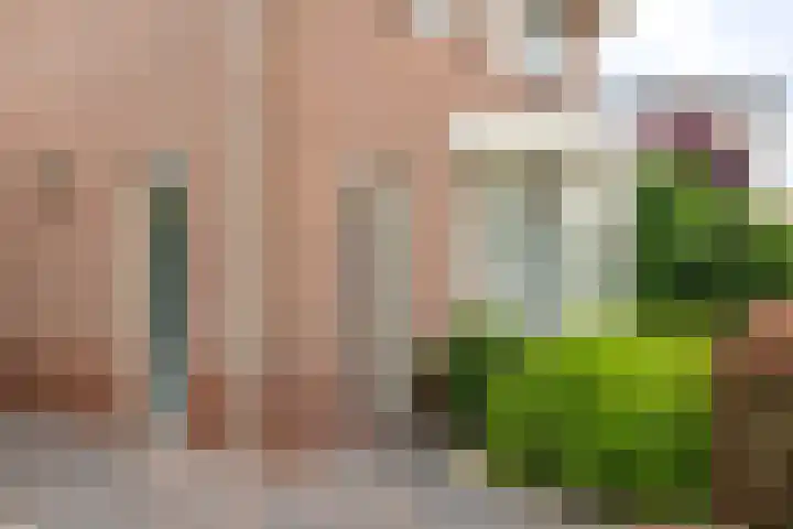 Hof van Avignon 7 Doetinchem thumbnail 30