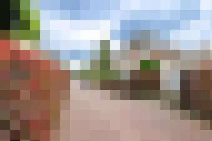 Hof van Avignon 7 Doetinchem thumbnail 59