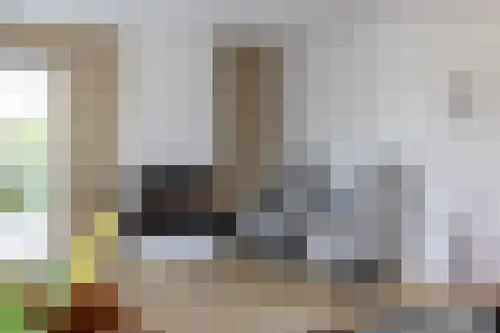Hof van Avignon 7 Doetinchem thumbnail 6