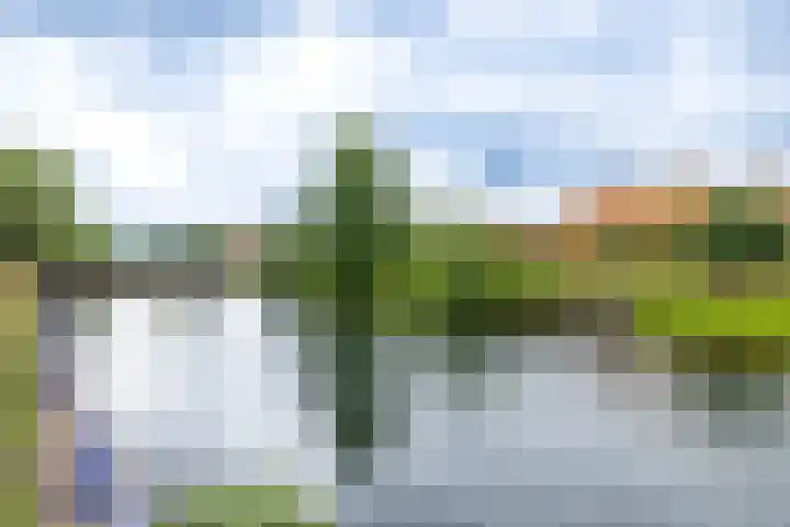 Hof van Avignon 7 Doetinchem thumbnail 60