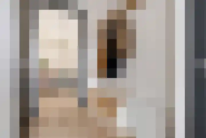 Hof van Batuwe 5 Lopikerkapel thumbnail 11