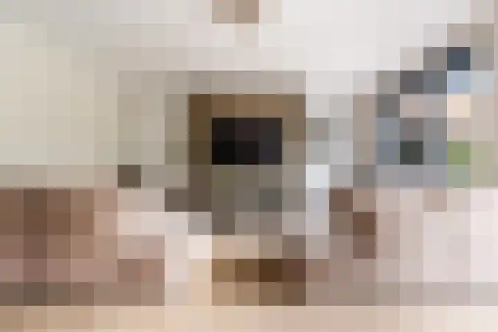 Hof van Batuwe 5 Lopikerkapel thumbnail 13