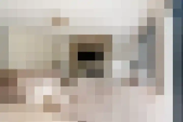 Hof van Batuwe 5 Lopikerkapel thumbnail 14