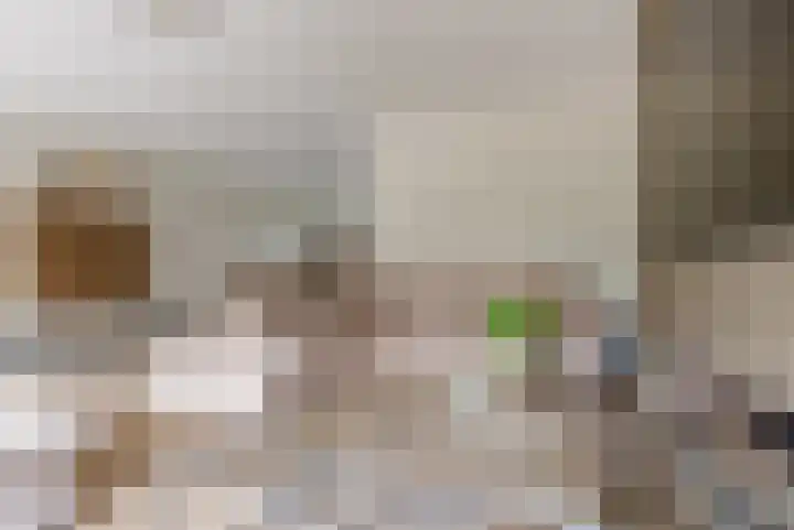 Hof van Batuwe 5 Lopikerkapel thumbnail 15