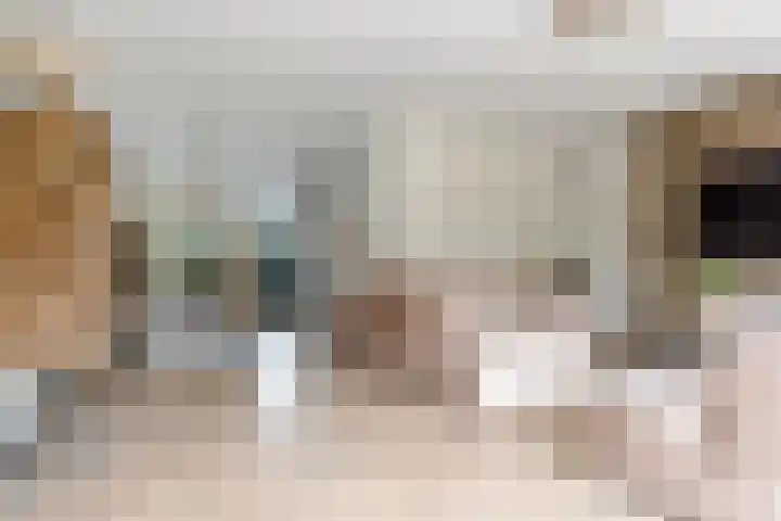 Hof van Batuwe 5 Lopikerkapel thumbnail 18