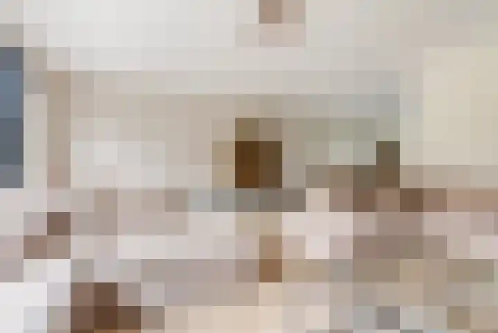 Hof van Batuwe 5 Lopikerkapel thumbnail 19