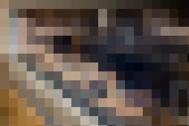 Hof van Batuwe 5 Lopikerkapel thumbnail 20