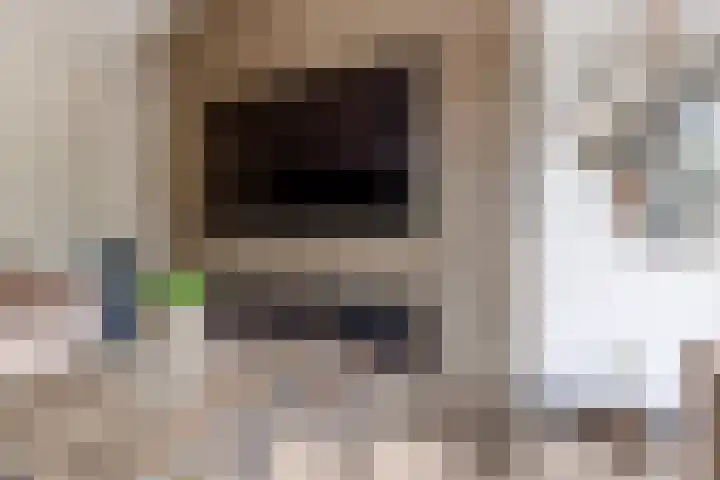 Hof van Batuwe 5 Lopikerkapel thumbnail 21