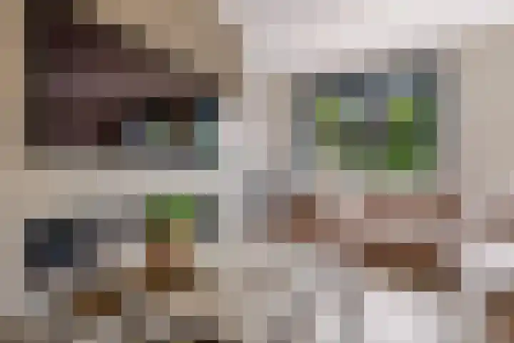 Hof van Batuwe 5 Lopikerkapel thumbnail 22