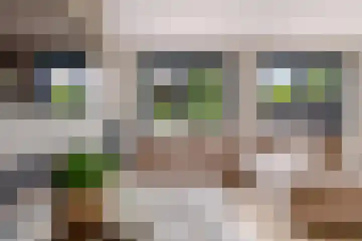 Hof van Batuwe 5 Lopikerkapel thumbnail 23