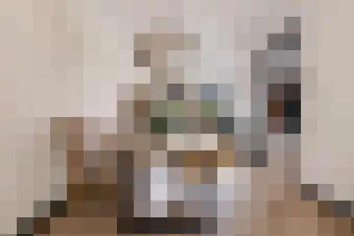 Hof van Batuwe 5 Lopikerkapel thumbnail 24
