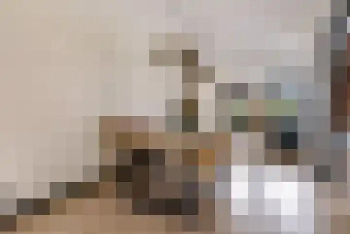 Hof van Batuwe 5 Lopikerkapel thumbnail 26