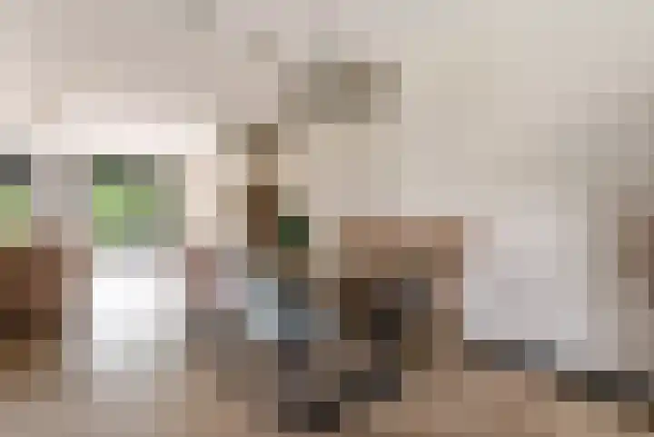 Hof van Batuwe 5 Lopikerkapel thumbnail 27