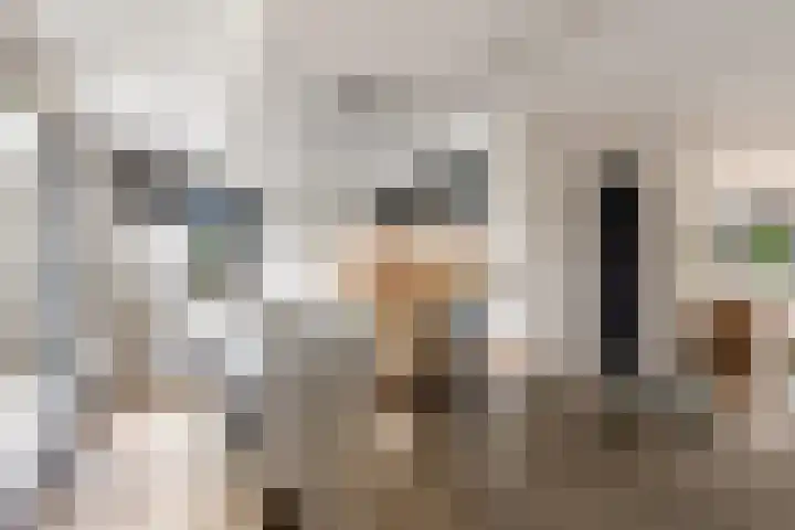 Hof van Batuwe 5 Lopikerkapel thumbnail 29