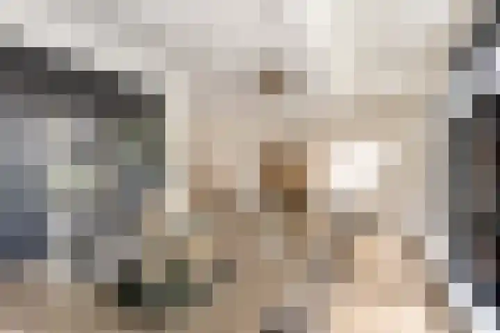 Hof van Batuwe 5 Lopikerkapel thumbnail 31