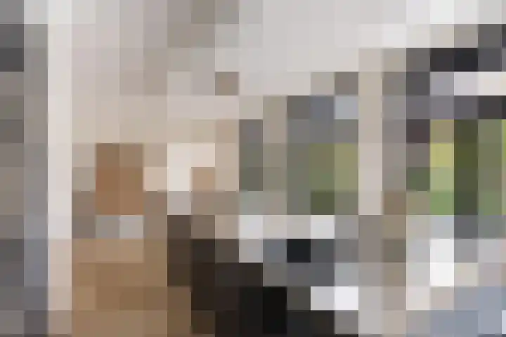Hof van Batuwe 5 Lopikerkapel thumbnail 32