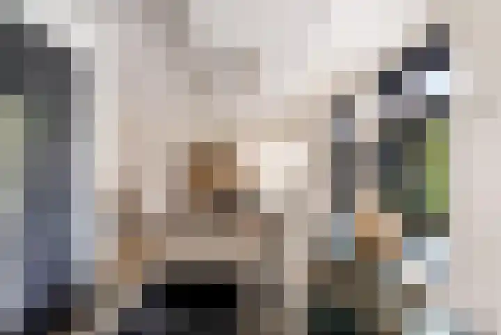 Hof van Batuwe 5 Lopikerkapel thumbnail 34
