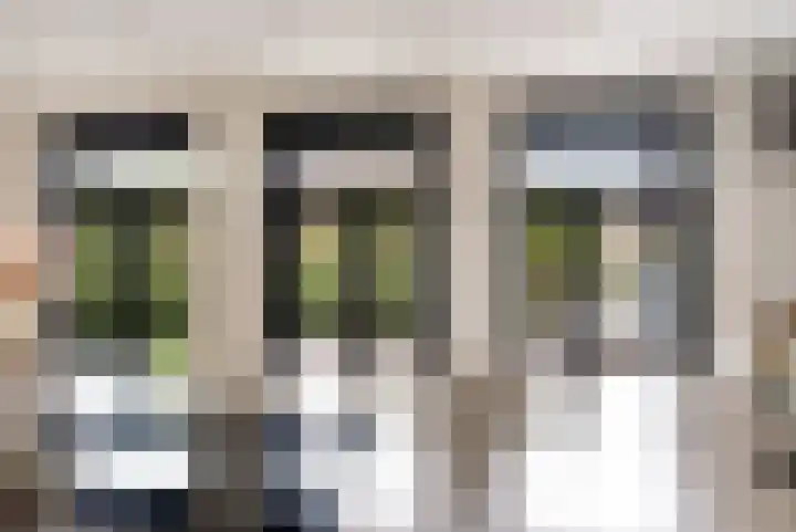 Hof van Batuwe 5 Lopikerkapel thumbnail 35
