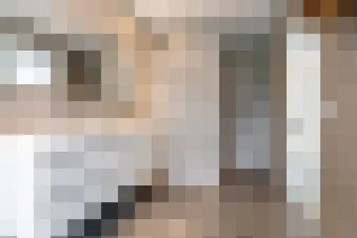 Hof van Batuwe 5 Lopikerkapel thumbnail 41